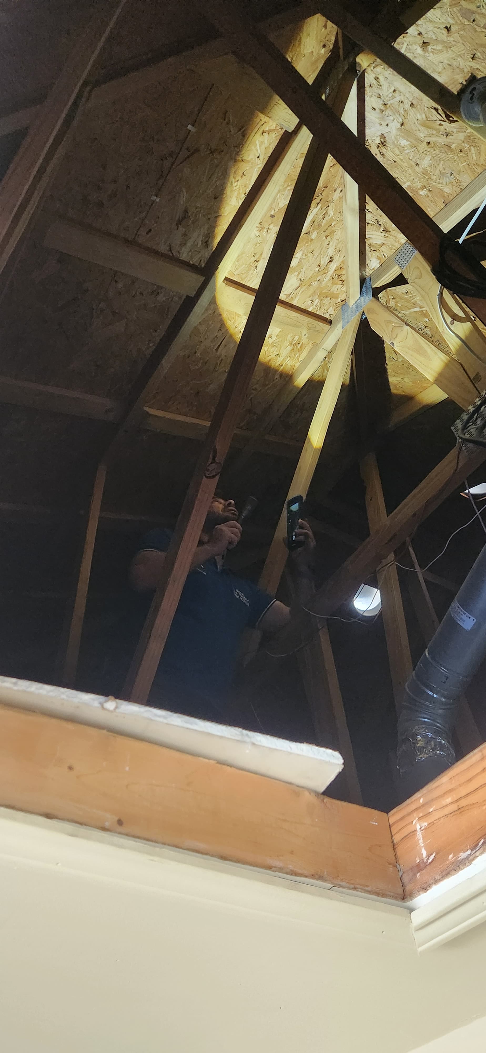 Structural System Inspection